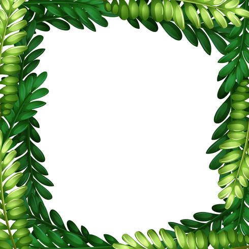 Nature leaf branch border vector