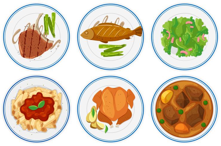 Different types of food on the plates vector