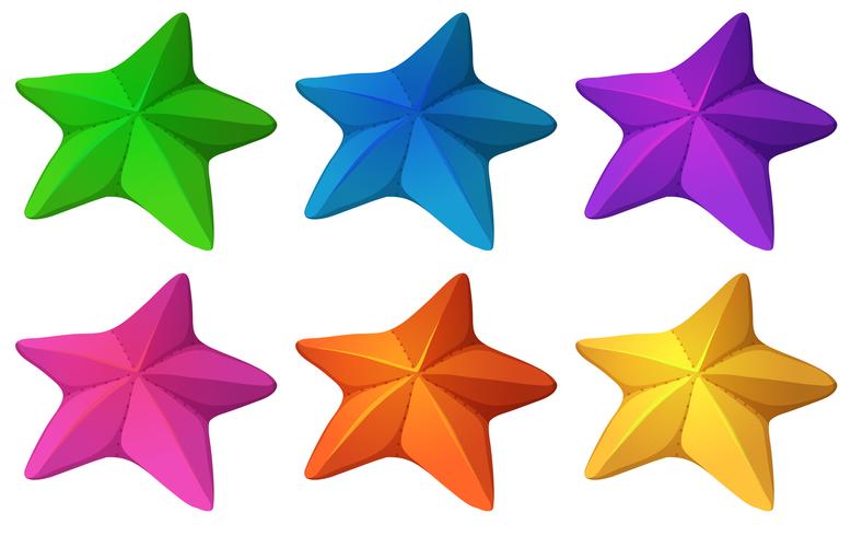 Estrellas de mar de colores vector