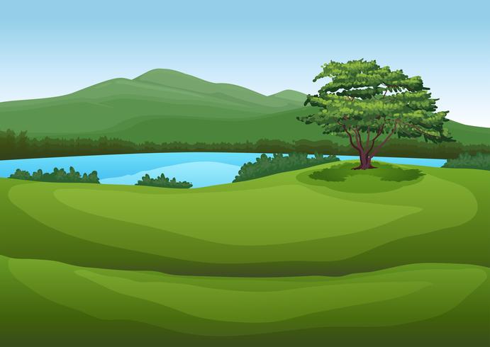 Un paisaje verde de la naturaleza. vector