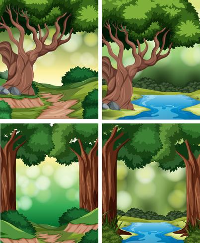 Set of tropical rainforest background vector