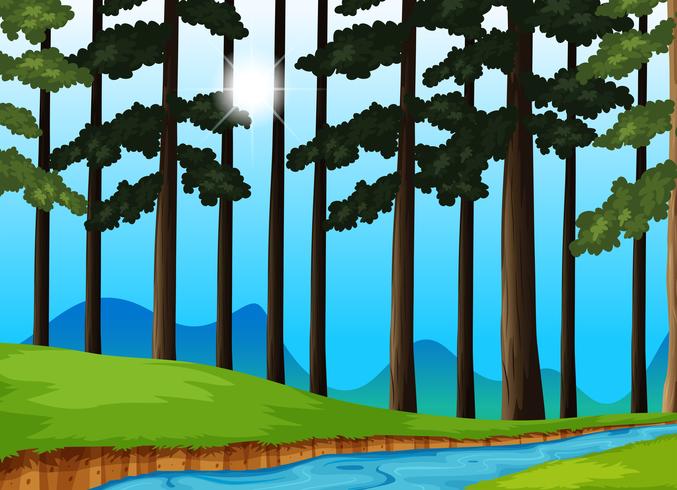 Trees and river in the forest vector