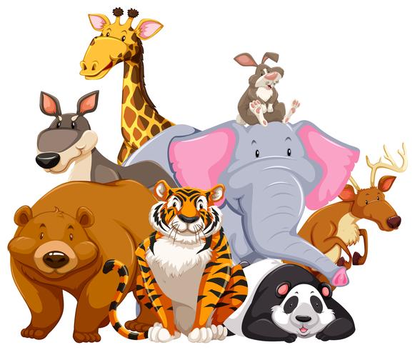 Animals characters on white vector