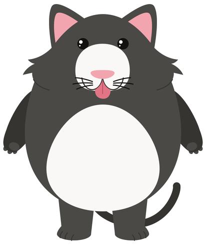 Gray cat on white background vector