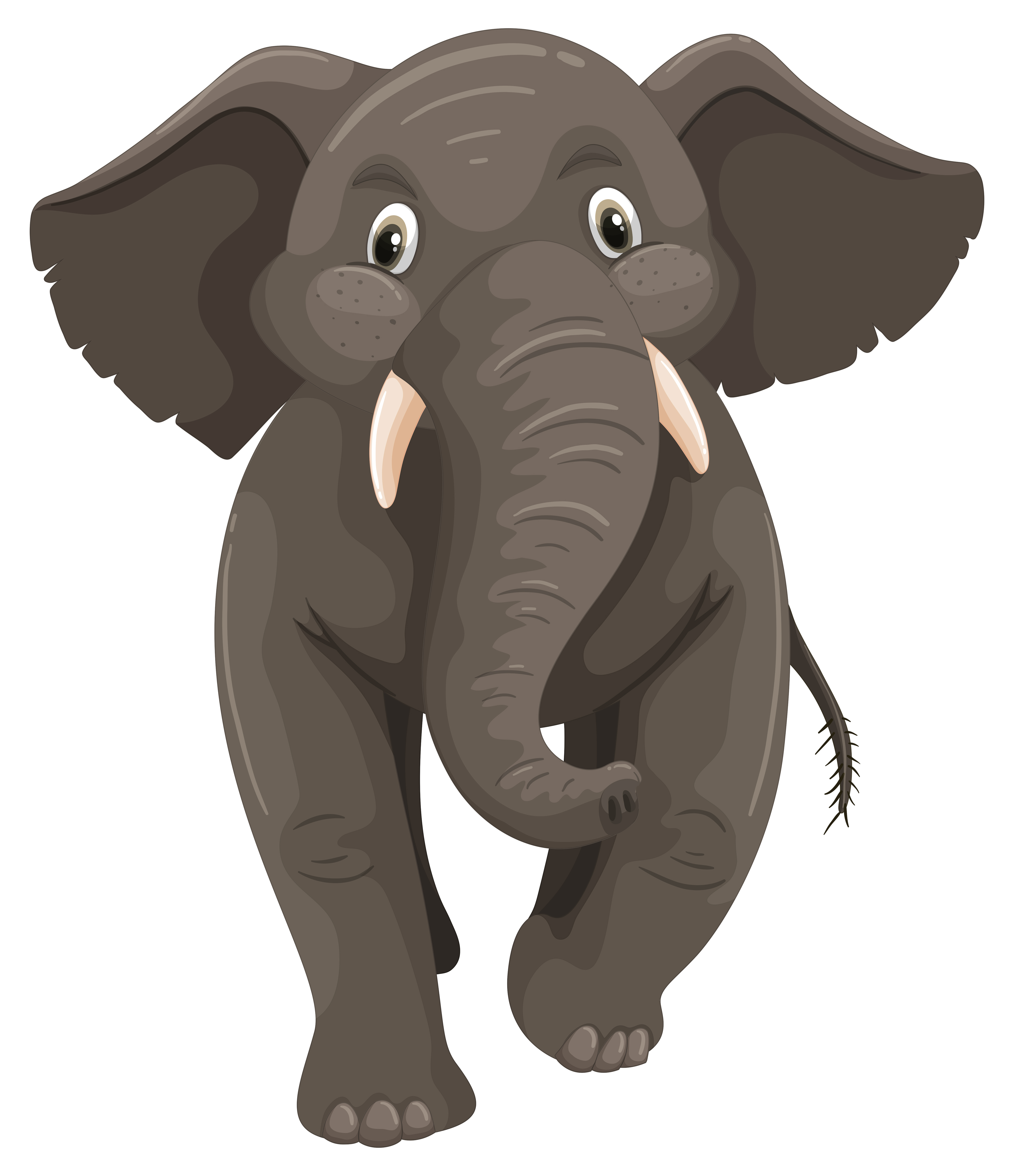 Wild Elephant On White Background 293905 Vector Art At Vecteezy