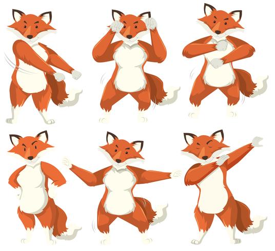 Fox character dance position vector