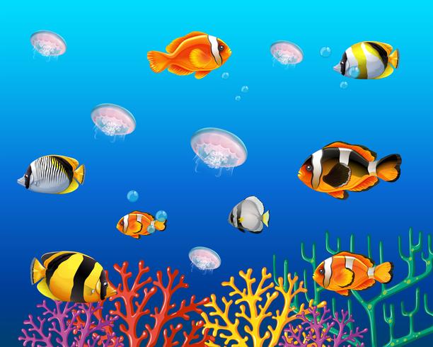 Underwater scene with fish swimming vector