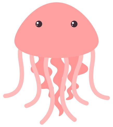 Pink jellyfish on white background vector