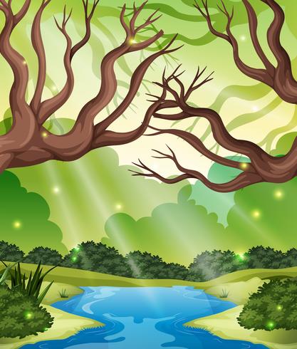 A nature forest landscape vector