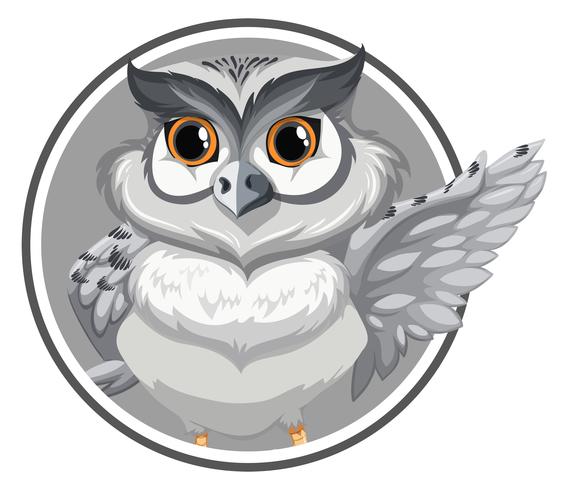 Owl on circle template vector