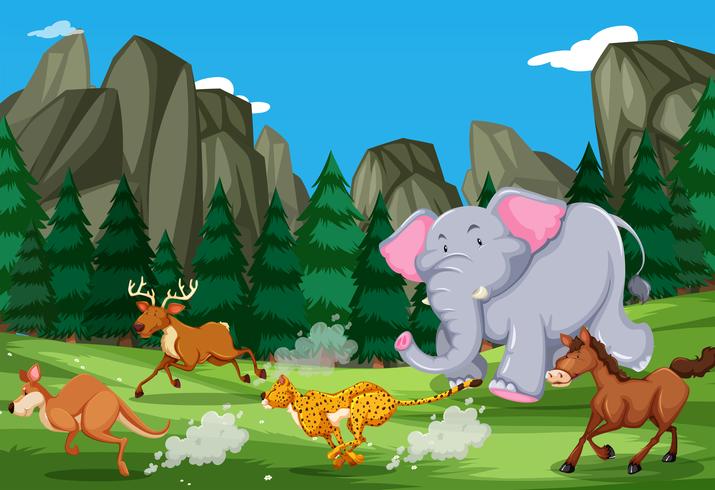 Animals run in the nature vector