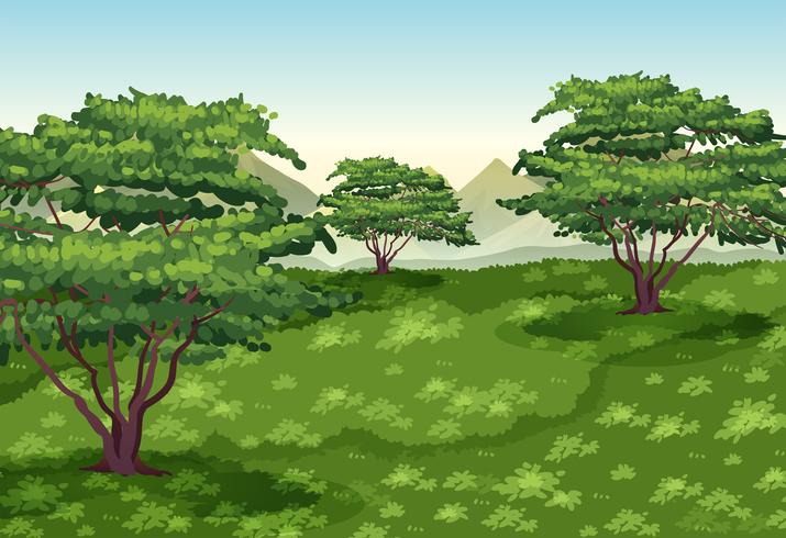 Escena de fondo con árboles y campo verde vector