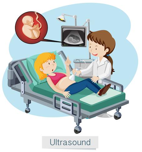 Una señora ultrasonido en el hospital vector