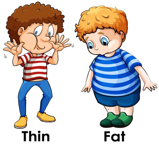 A Comparison of Boy Body vector