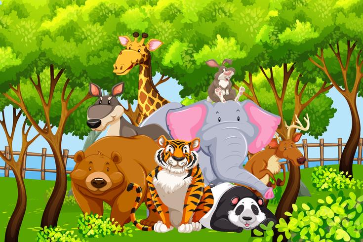 Wild animals in nature vector