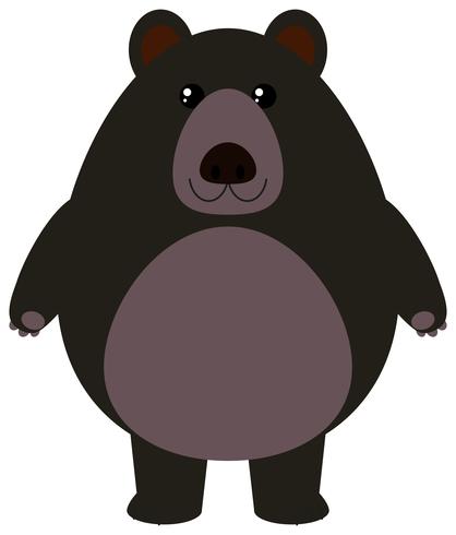 Oso negro sobre fondo blanco vector