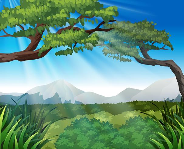 Nature scene with trees on mountains - Download Free Vector Art, Stock Graphics & Images