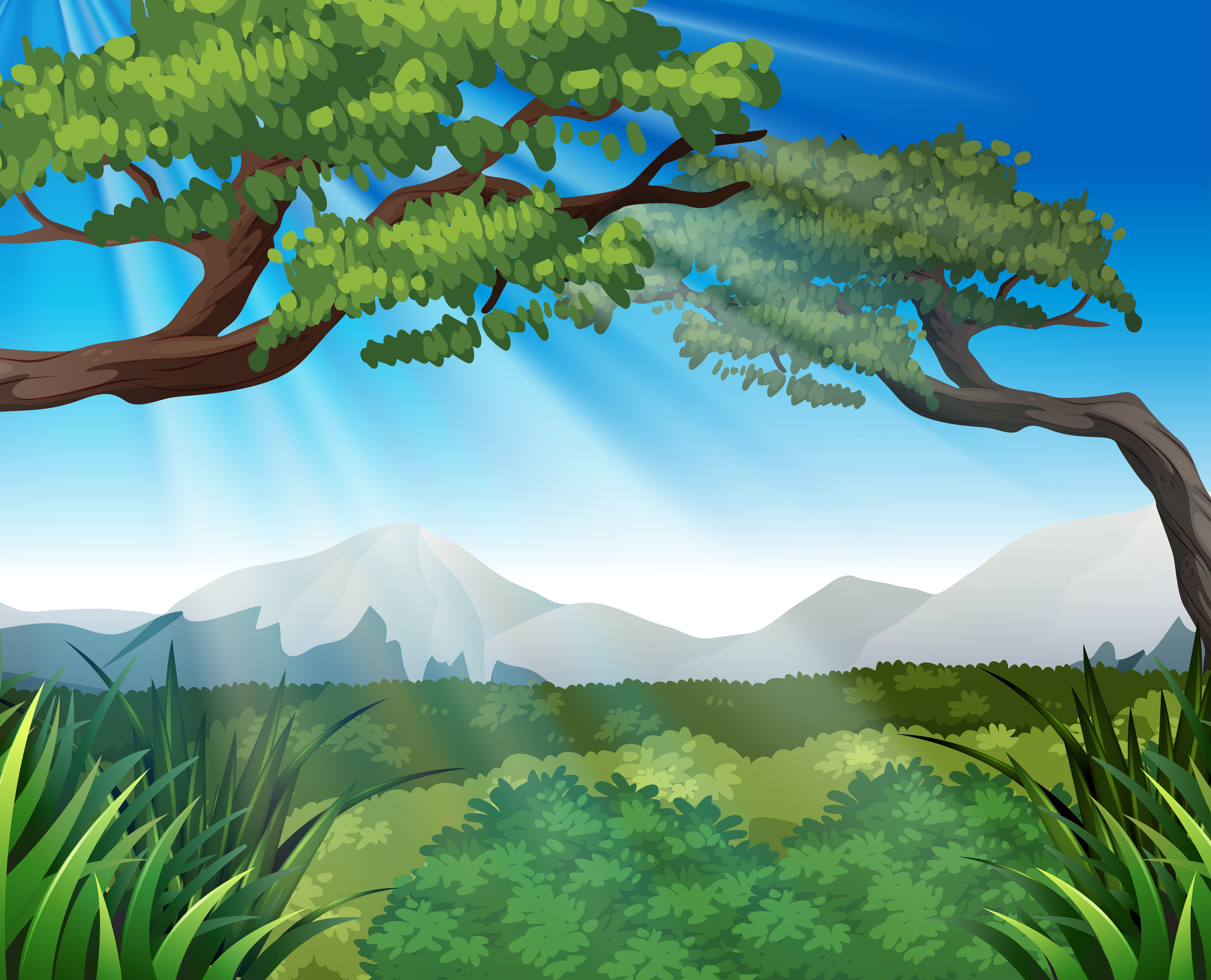  Nature  scene with trees on mountains 294226 Download 