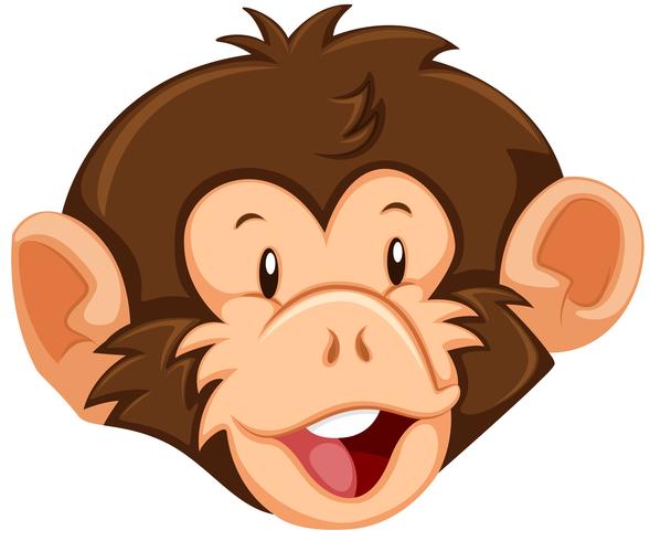 A monkey face on white background vector