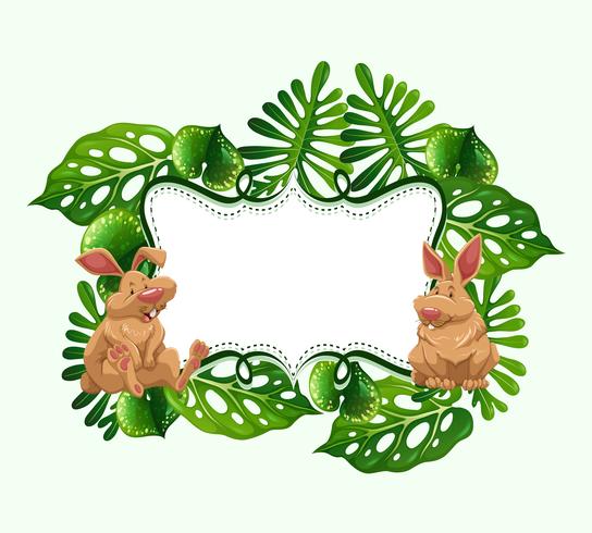 Frame design with two rabbits vector