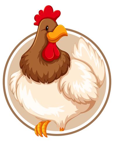 Un pollo en plantilla de etiqueta vector