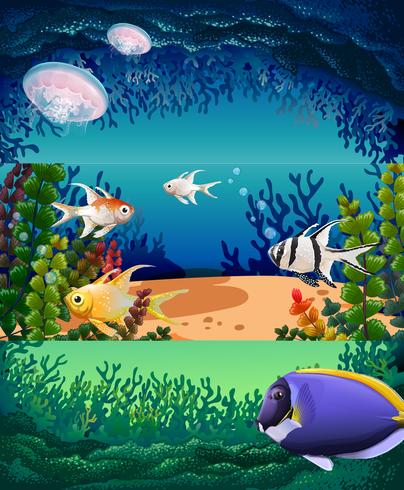 Fish swimming under the ocean vector