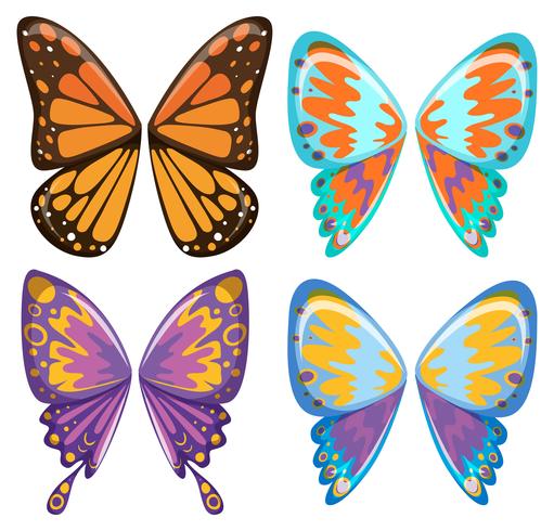 Different pattern of butterfly wings vector