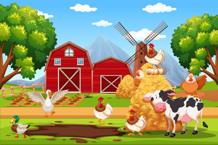 Animal at the farm vector