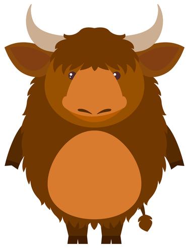 Cute yak on white background vector