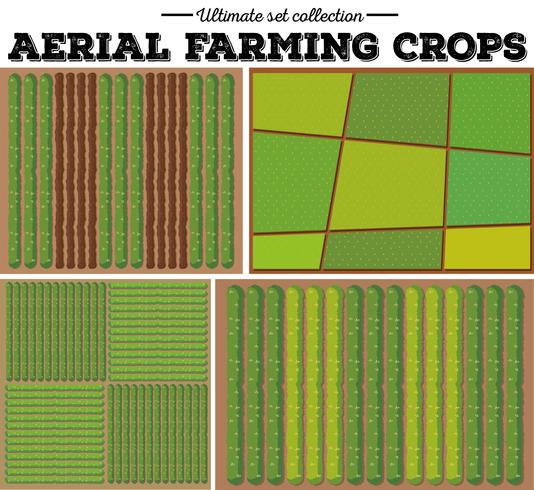 Aerial farming crops pattern vector