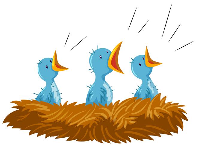 Three baby birds in nest vector