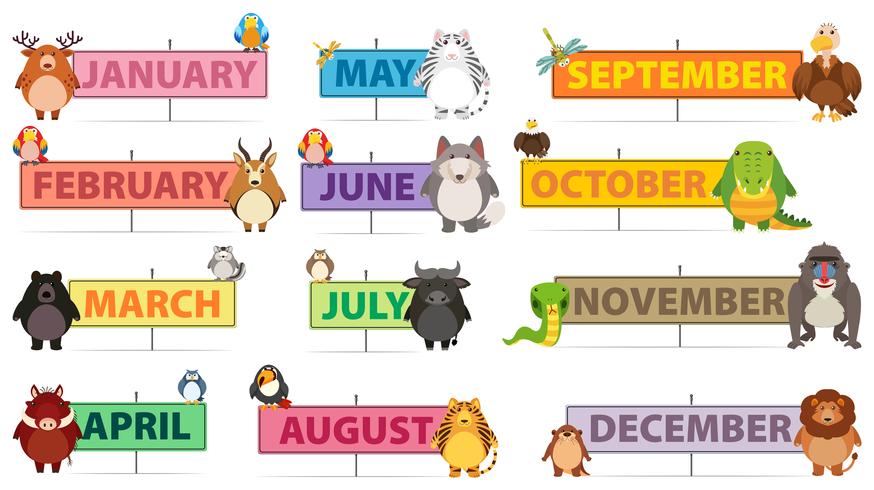 Months of a Year Banner vector