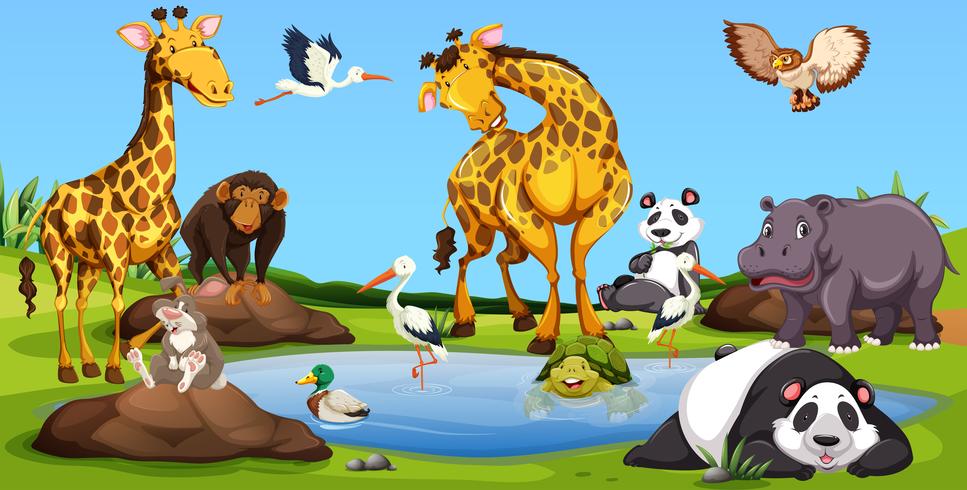 Wild animals together by the small pool vector