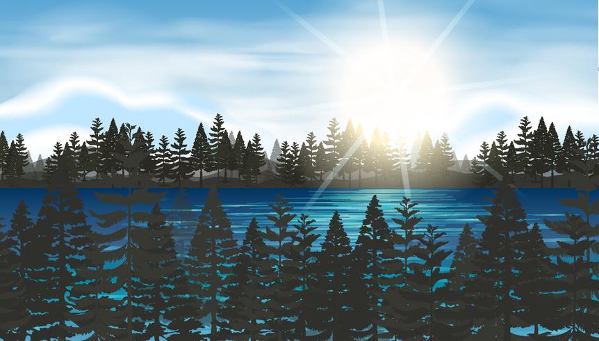 Pine forest at the lake - Download Free Vector Art, Stock Graphics & Images