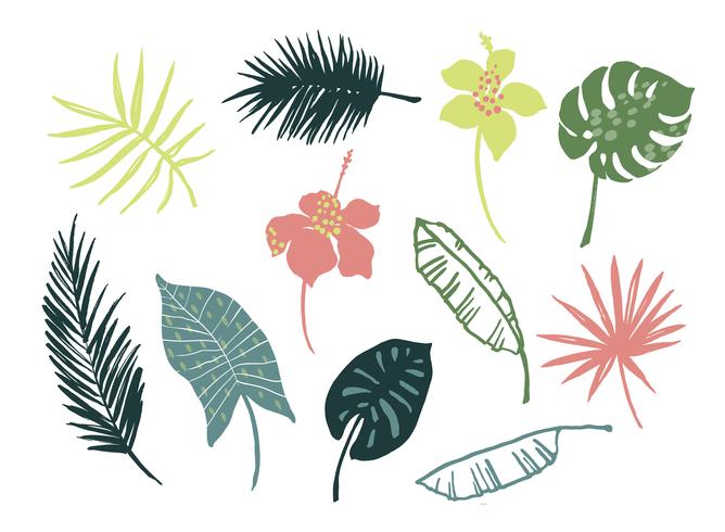 Vector set of tropical leaves and flowers.