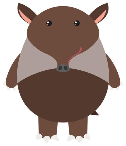 Brown tapir on white background vector