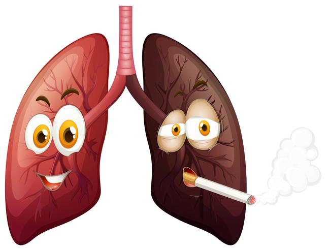 Happy lung and sad lung illustration vector