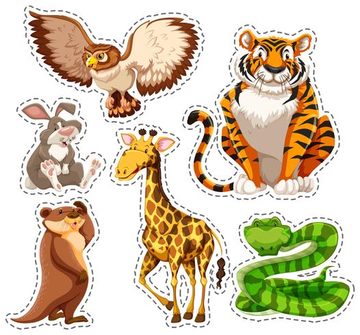 Sticker set of wild animals vector