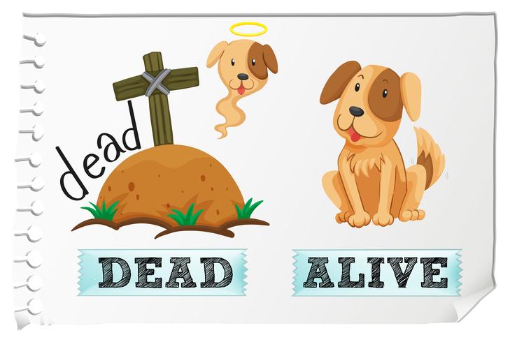 Opposite adjectives dead and alive vector