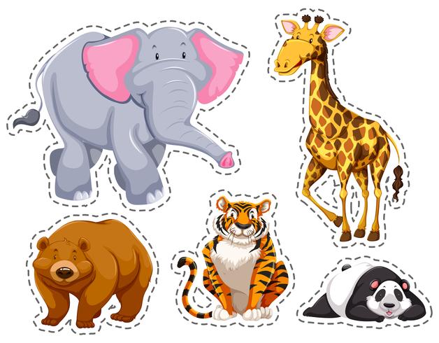 Set of different wild animals vector