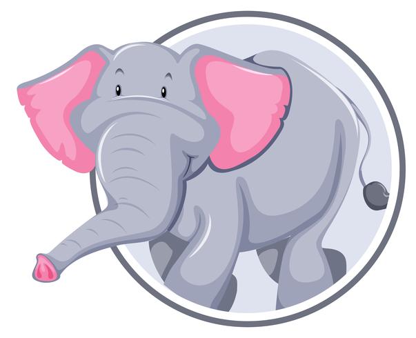 Elefante en banner círculo vector