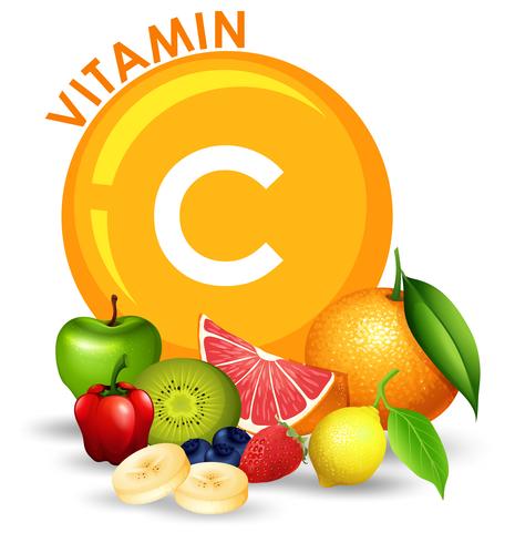 Un conjunto de frutas con alto contenido de vitamina C vector