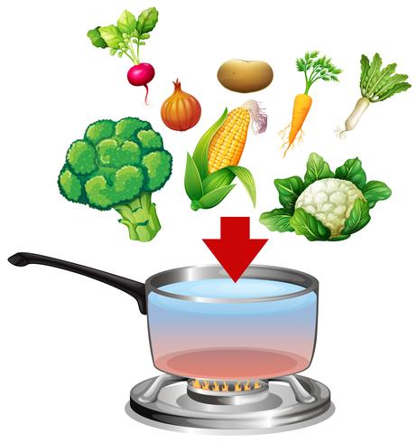 Verduras entrando en una olla vector