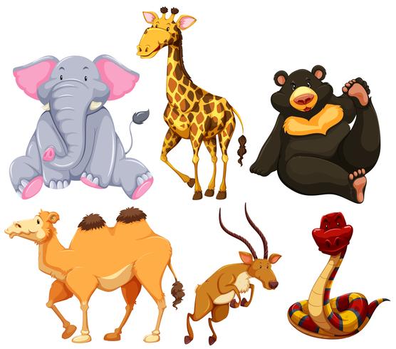 Six different types of wild animals vector