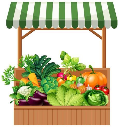 Vegetable on wooden shelf vector