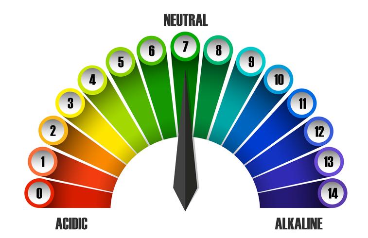 A pH scale on white background vector