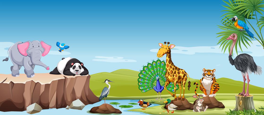 Wild animals in the field vector