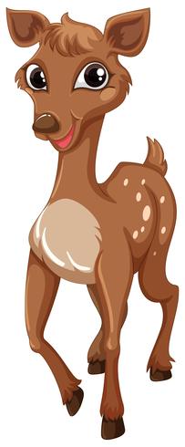 Little fawn with happy smile vector