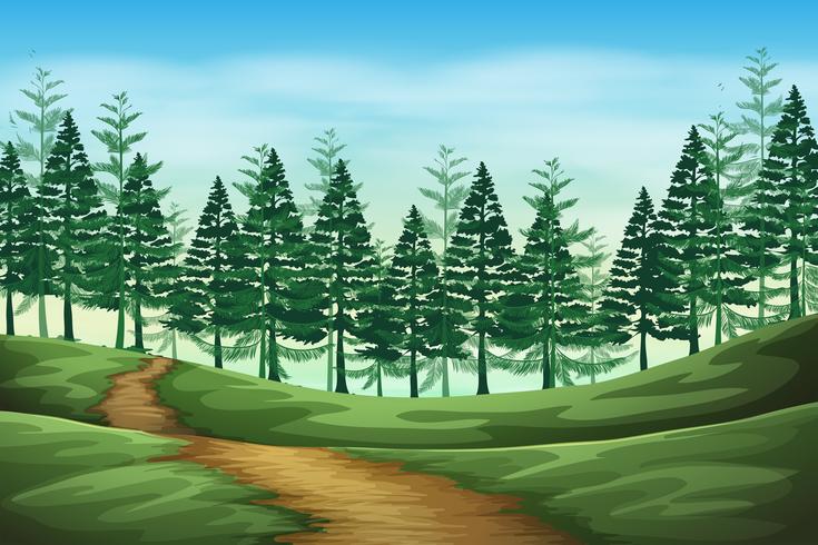 Escena de fondo de paisaje de bosque vector