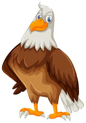Wild eagle on white background vector